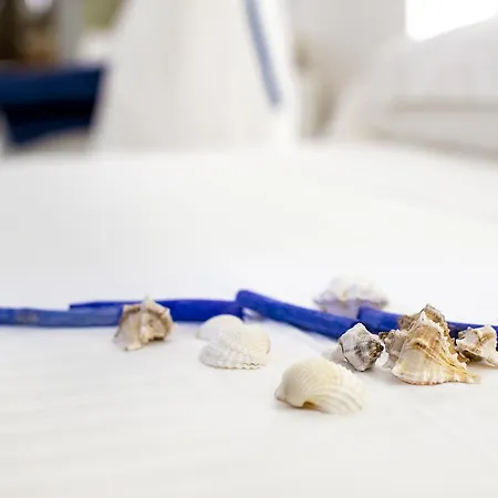 게스트하우스 Il Mare Dentro 산비토로카포